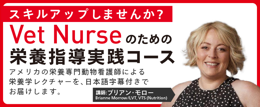 VetNurseのための栄養指導実践コース